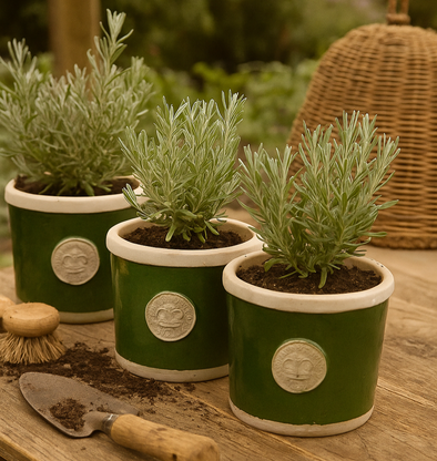 Premium Garden Pots for Mindful Living