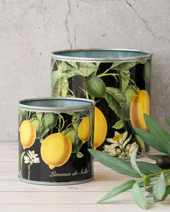 TIN PLANTER VINTAGE LEMON (SET OF 4) 15CM - CV20009 (Box of 1 Set)