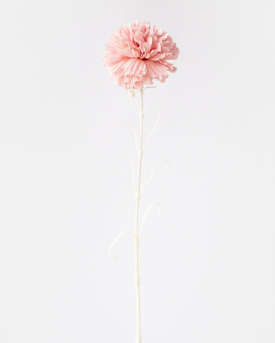 SINGLE CARNATION PINK 65CM - 6904PK (Box of 12)