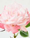 ROSE SPRAY REAL TOUCH PINK 65cm - 6970PK (Box of 24)