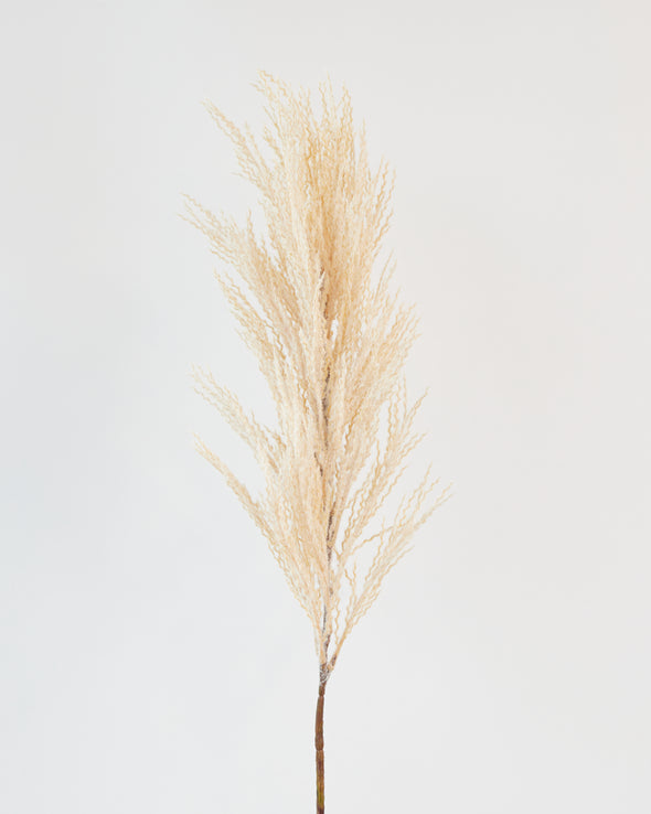 PAMPAS SPRAY BEIGE 90CM - 6975BE (Box of 6)