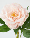 REAL TOUCH PEONY PINK 56CM - 7074PK (Box of 12)