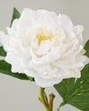 REAL TOUCH PEONY WHITE 56CM - 7074WH (Box of 12)