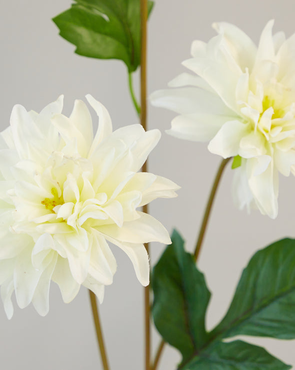 REAL TOUCH DAHLIA x3 WHITE 65CM - 7077WH (Box of 12)