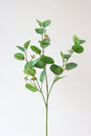 POLY GUM GREEN 71CM - 7085 (Box of 24)