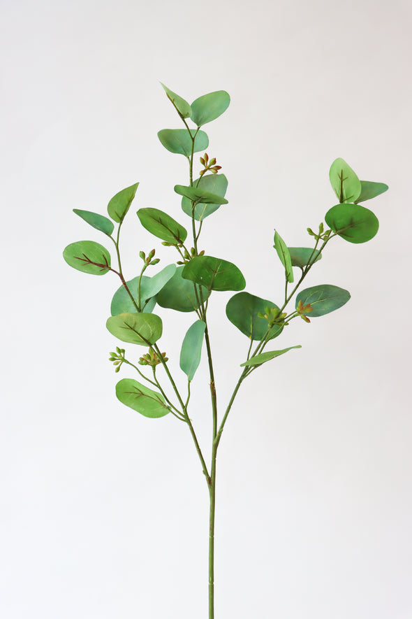 POLY GUM GREEN 71CM - 7085 (Box of 24)