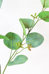 POLY GUM GREEN 71CM - 7085 (Box of 24)