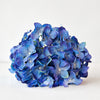 HYDRANGEA BOUQUET PURPLE 30CM - 7144PU (BOX OF 12)