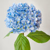 HYDRANGEA SPRAY LAVENDER 55CM - 7143LV (BOX OF 12)