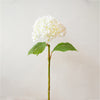 HYDRANGEA SPRAY WHITE 55CM - 7143WH (BOX OF 12)