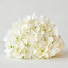 HYDRANGEA BOUQUET WHITE 30CM - 7144WH (BOX OF 12)