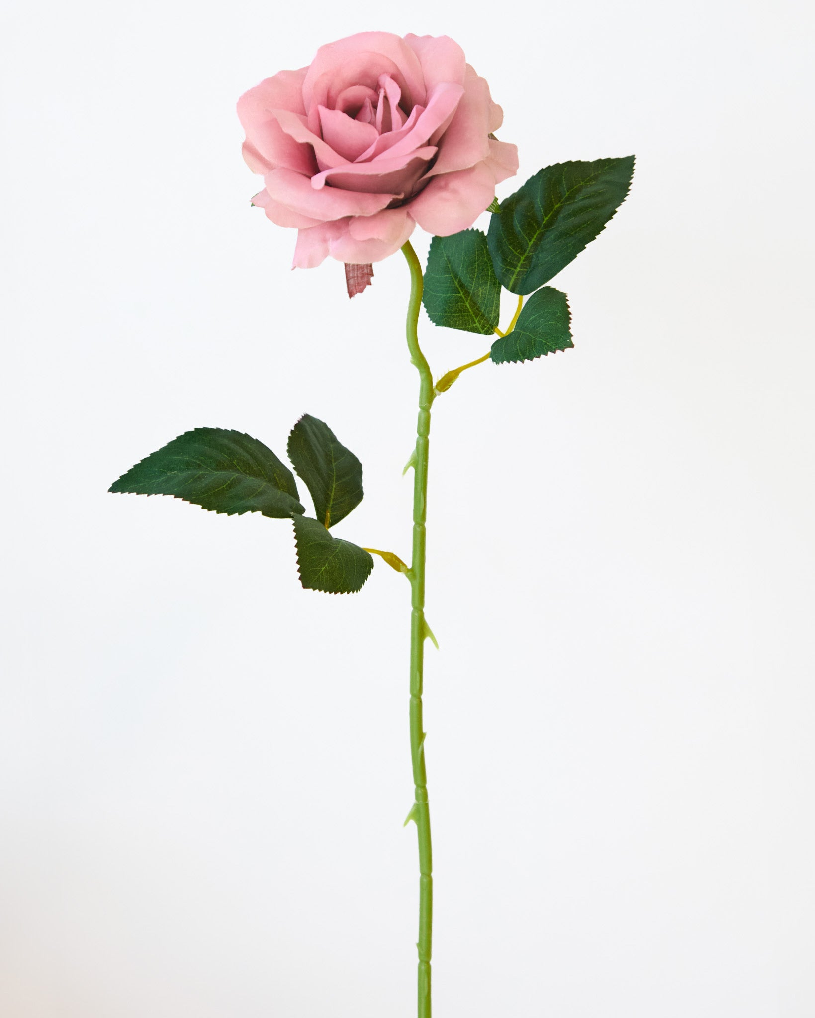 SINGLE ROSE PINK- 7148PK(Box of 66) – Reliance Trading