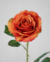 SUMMER ROSE BRIGHT ORANGE- 7150OR (Box of 96)