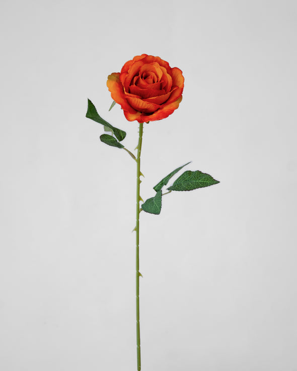 SUMMER ROSE BRIGHT ORANGE- 7150OR (Box of 96)