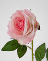 SUMMER ROSE PINK- 7150PK (Box of 96)