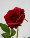 SUMMER ROSE RED - 7150RD (Box of 96)