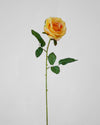 SUMMER ROSE YELLOW- 7150YE (Box of 96)