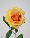 SUMMER ROSE YELLOW- 7150YE (Box of 96)