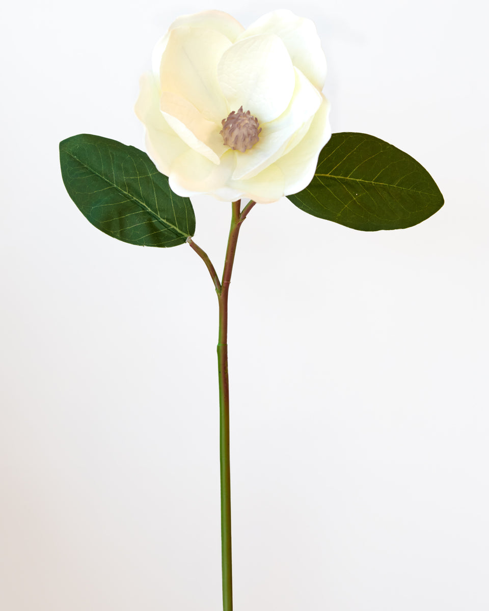 SINGLE MAGNOLIA WHITE- 7153 (Box of 24) – Reliance Trading Corporation