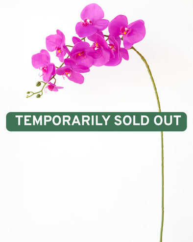 PHALAENOPSIS ORCHID FUSCHIA - 7154FU (Box of 50)