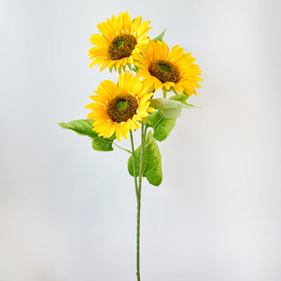 SUNFLOWER X3 - 7156 (Box of 120)