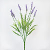 LAVENDER BUSH X7 - 7159 (Box of 60)