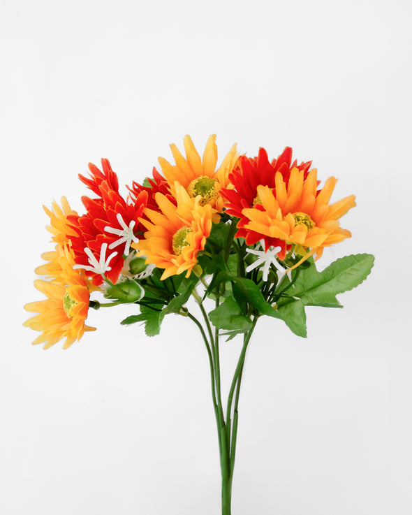 GERBERA BUSH X10 ORANGE RUST - 7162ORRU (Box of 200)