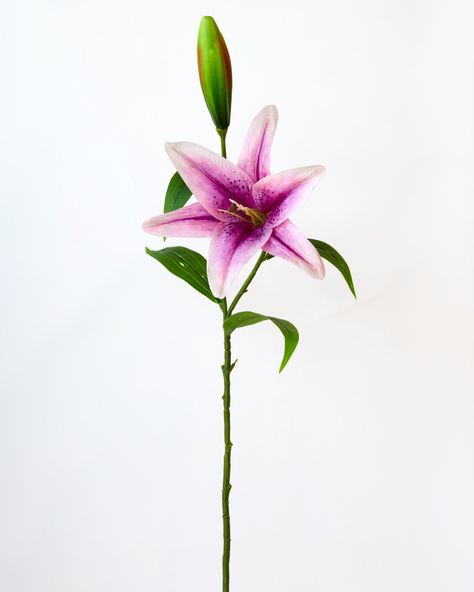 tiger lily purple TIGER LILY W/BUD PURPLE- 7165PU (Box of 24) – Reliance Trading Corporation
