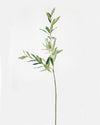 OLIVE LEAVES SPRAY GREEN 77.5CM - 7166 (Box of 24)