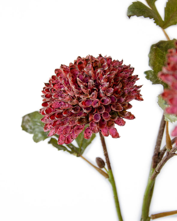 SCABIOUS SPRAY PURPLE 65CM - 7167PU (Box of 24)