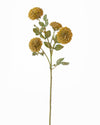 SCABIOUS SPRAY YELLOW GREEN 65CM - 7167YEGR (Box of 24)