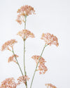 SEDUM SPRAY PINK 81CM - 7169PK (Box of 12) (Copy)