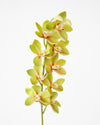 MINI DENDROBIUM ORCHID SPRAY GREEN 76CM - 7170GR (Box of 12)