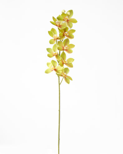 MINI DENDROBIUM ORCHID SPRAY GREEN 76CM - 7170GR (Box of 12)