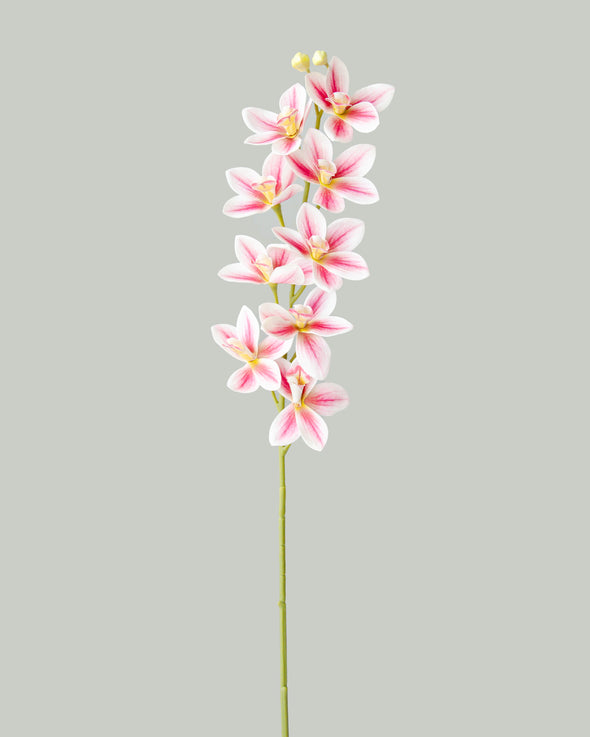 MINI DENDROBIUM ORCHID SPRAY PINK 76CM - 7170PK (Box of 12)