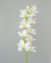 MINI DENDROBIUM ORCHID SPRAY WHITE 76CM - 7170WH (Box of 12)