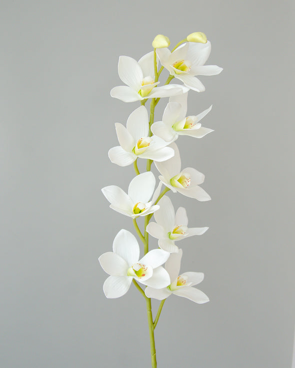 MINI DENDROBIUM ORCHID SPRAY WHITE 76CM - 7170WH (Box of 12)