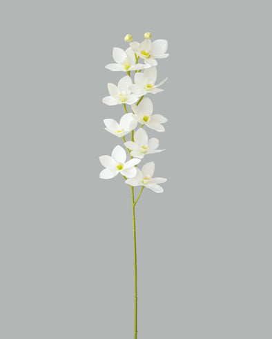 MINI DENDROBIUM ORCHID SPRAY WHITE 76CM - 7170WH (Box of 12)