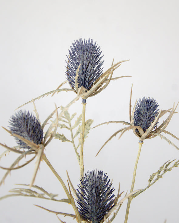 THISTLE SPRAY BLUE 75CM - 7173BL (Box of 12)