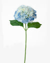 HYDRANGEA STEM LIGHT BLUE 43CM  - 7176LTBL (Box of 24)