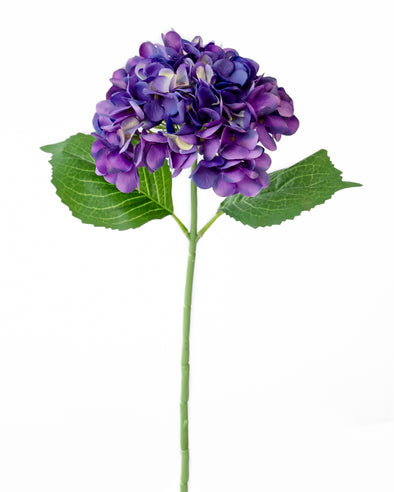 HYDRANGEA STEM PURPLE 43CM  - 7176PU (Box of 24)