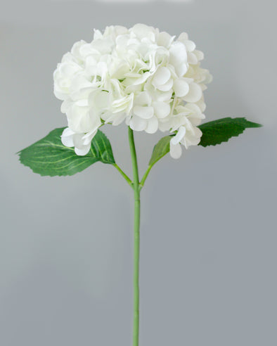 HYDRANGEA STEM WHITE 43CM - 7176WH (Box of 24)