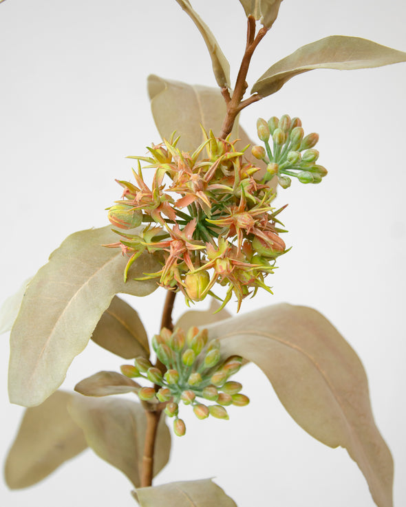 ASCLEPIAS STEM FUSCHIA ORANGE  77.5CM - 7179OR (Box of 12)