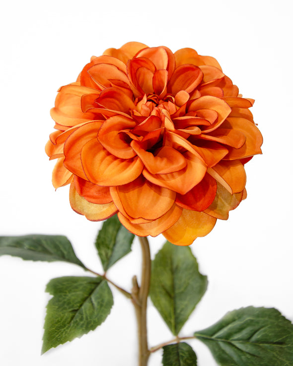 WHISPERING MEADOW DAHLIA ORANGE 57CM - 7180OR (Box of 12)