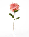 WHISPERING MEADOW MUM STEM PINK 69CM - 7181PK (Box of 12)