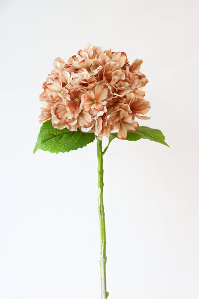 OCCASIONS HYDRANGEA STEM LT COFFEE 55CM - 7190LTCF (Box of 16)