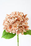 OCCASIONS HYDRANGEA STEM LT COFFEE 55CM - 7190LTCF (Box of 16)