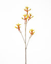 KANGAROO PAW YELLOW RED 75CM - 7191YERD (Box of 12)