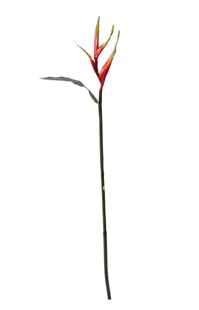 HELECONIA STEM RED 96CM - 7228RD (Box of 12)
