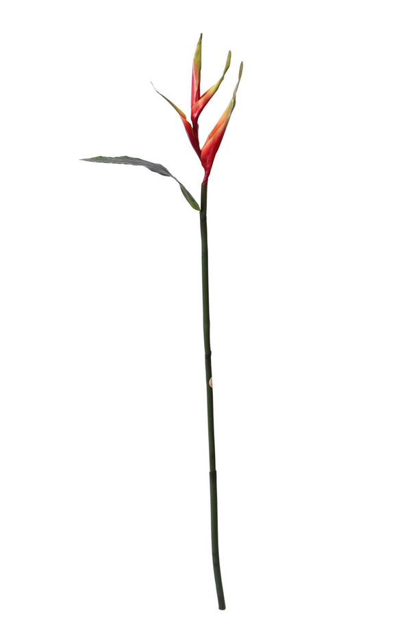 HELECONIA STEM RED 96CM - 7228RD (Box of 12)